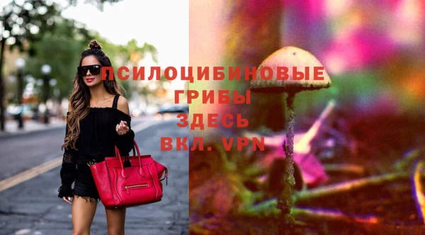 мдпв Беломорск