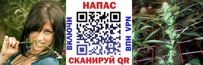 Канабис SATIVA & INDICA  hydra онион  Курчатов 